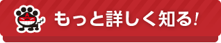もっと詳しく知る!